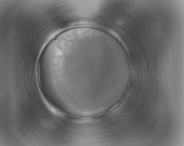 X0000058781482200510171240