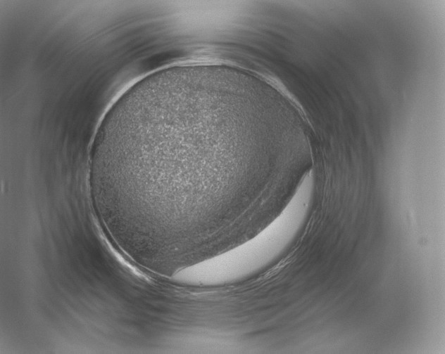 X0000058781484200510171240