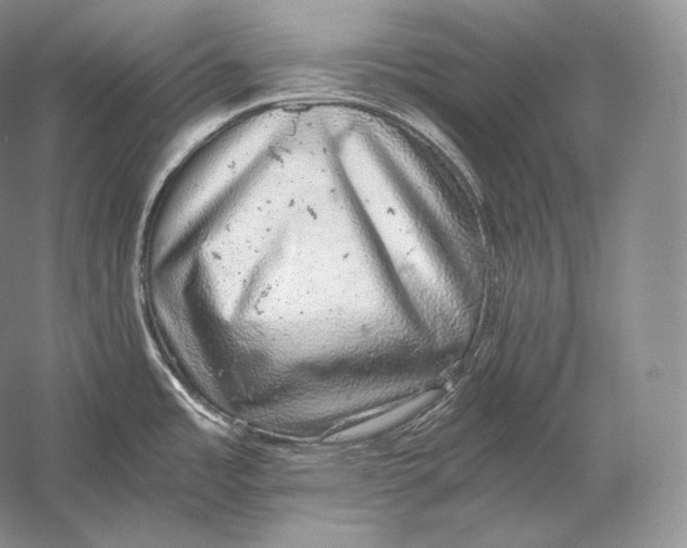 X0000058781485200510171240