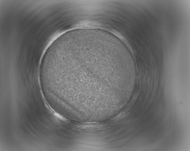 X0000058781486200510171240