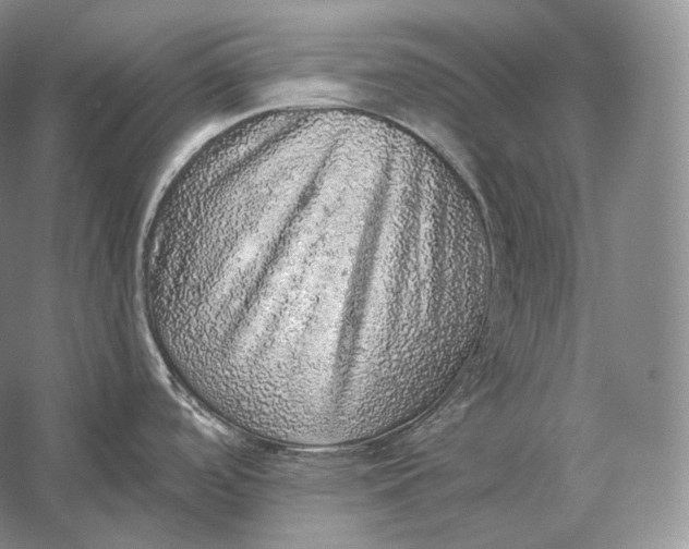 X0000058781488200510171240