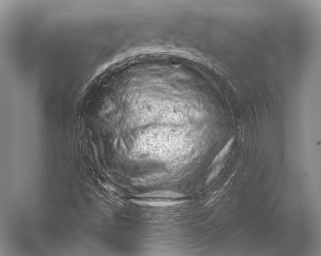 X0000058781494200510171239