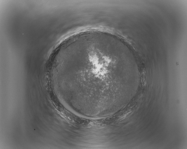 X0000058781496200510171239