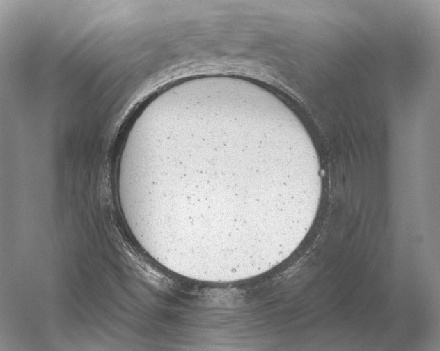 X0000058781498200510171239