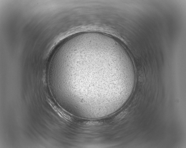 X0000058781499200510171239