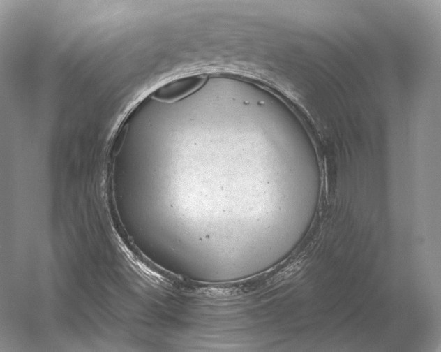 X0000058781500200510171239