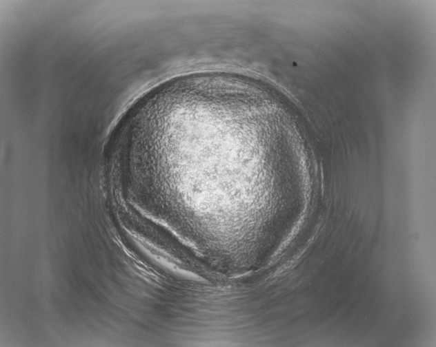 X0000058781501200510171239