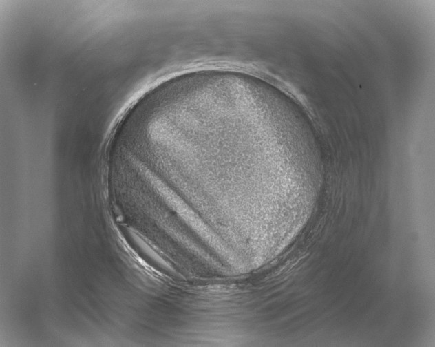 X0000058781504200510171239