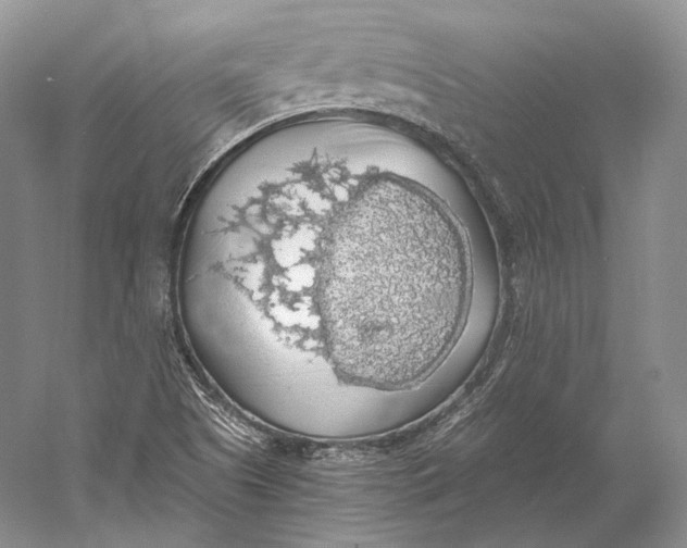 X0000058781505200510171239