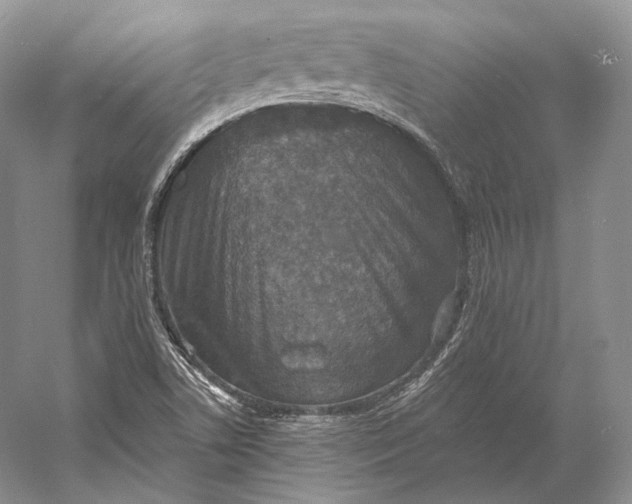 X0000058781506200510171239