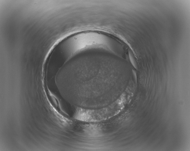 X0000058781508200510171239