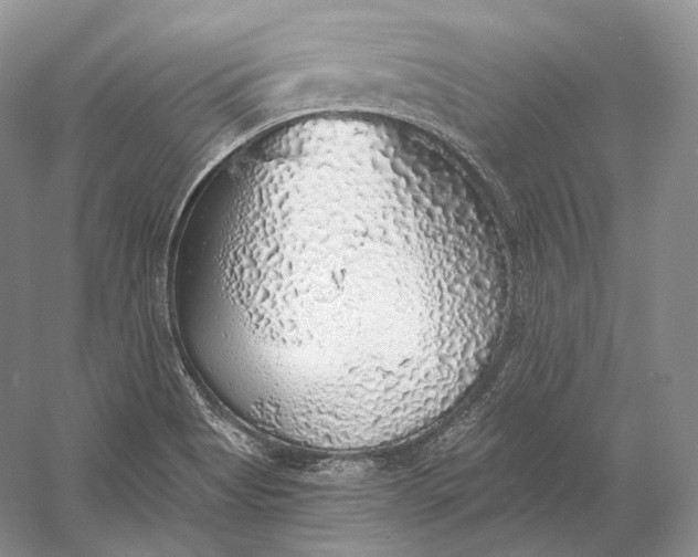 X0000058781513200510171239