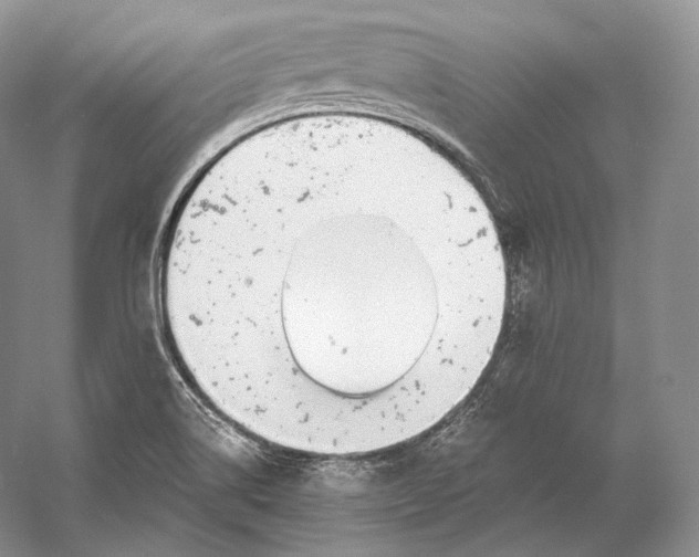 X0000058781514200510171239