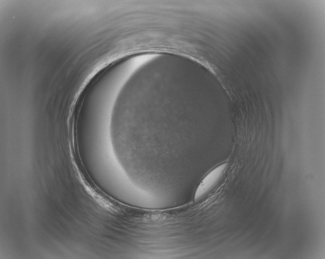 X0000058781515200510171239