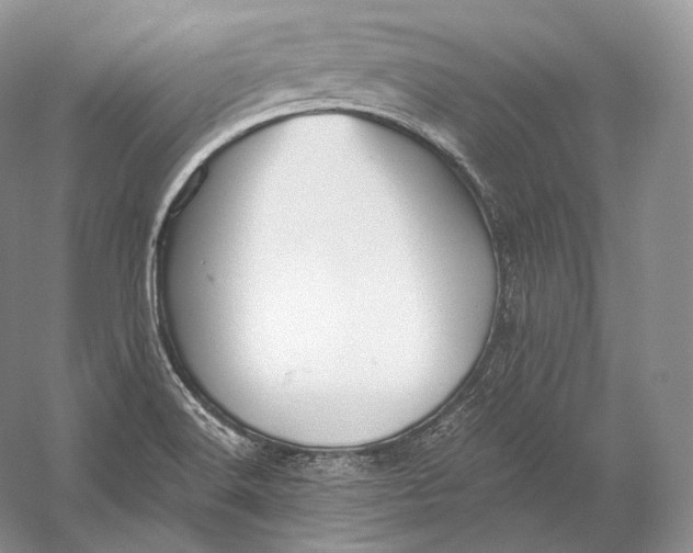 X0000058781516200510171239