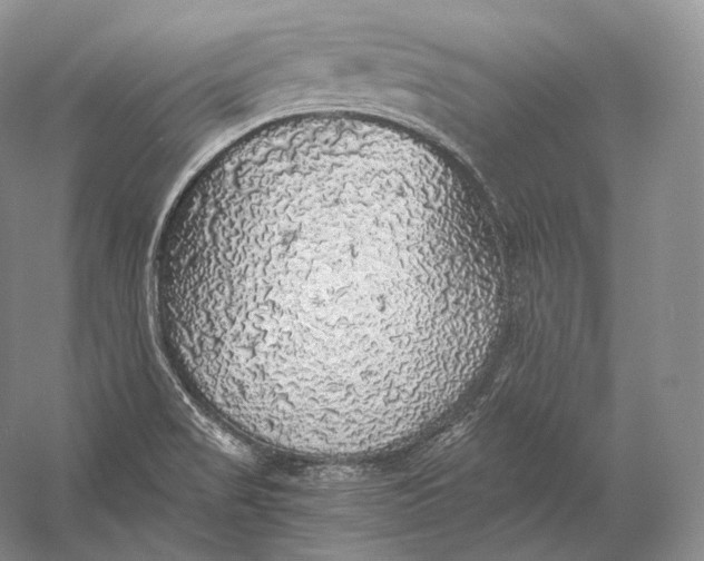 X0000058781517200510171239