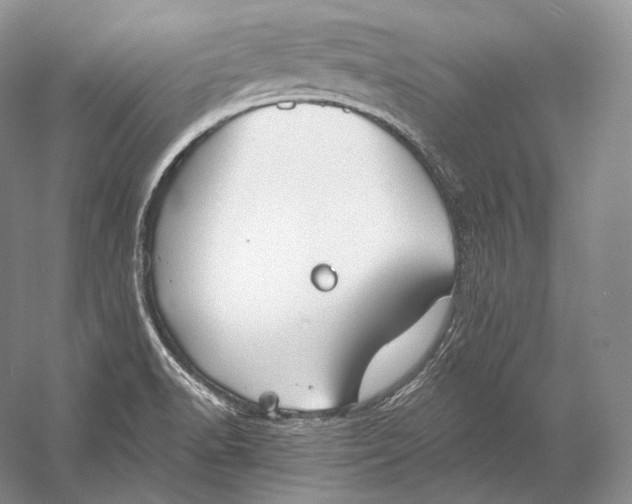 X0000058781518200510171239