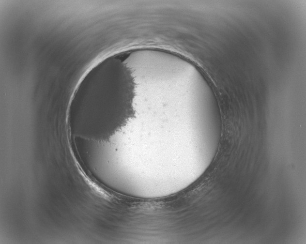 X0000058781519200510171239