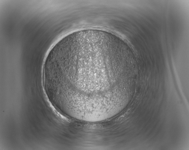 X0000058781520200510171239