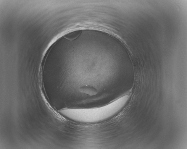 X0000058781522200510171239