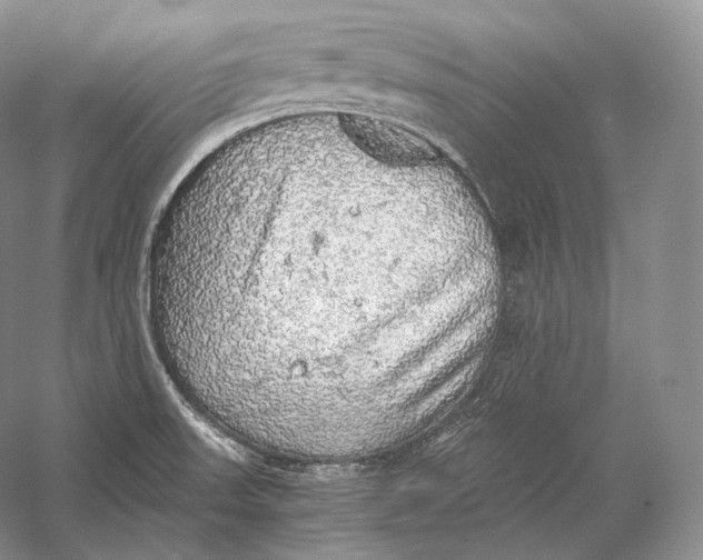 X0000058781523200510171239