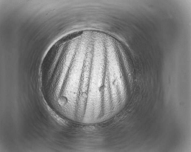 X0000058781524200510171239