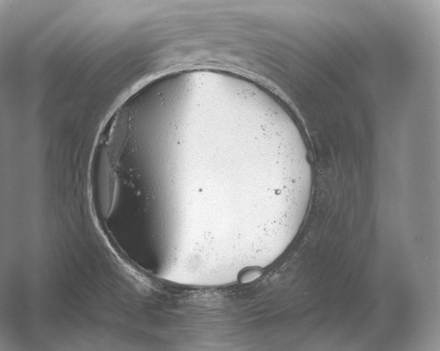 X0000058781525200510171239