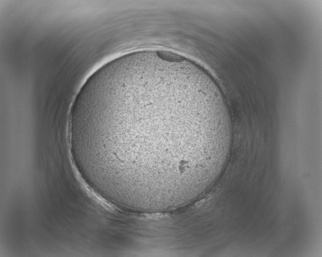 X0000058781526200510171239