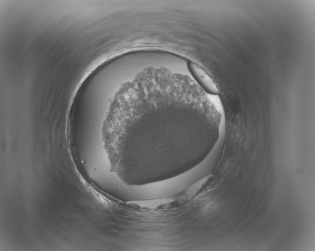 X0000058781527200510171239