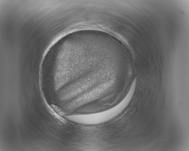 X0000058781528200510171239