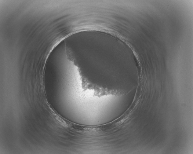 X0000058781529200510171239