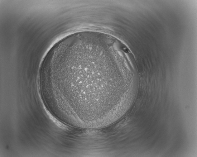 X0000058781531200510171240