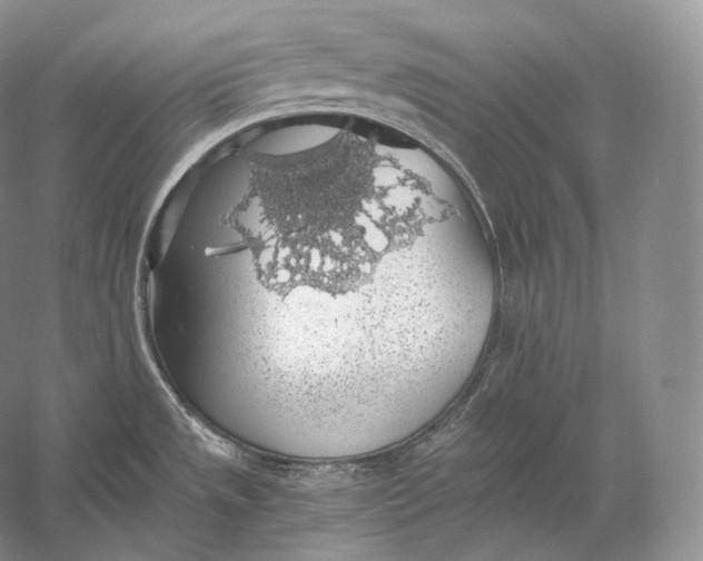 X0000058781533200510171240