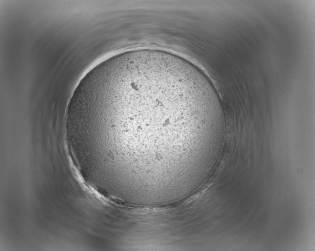 X0000058781534200510171240