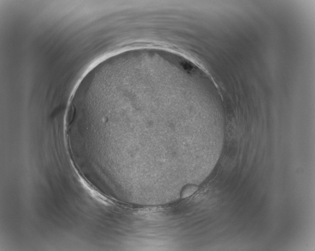 X0000058781535200510171240