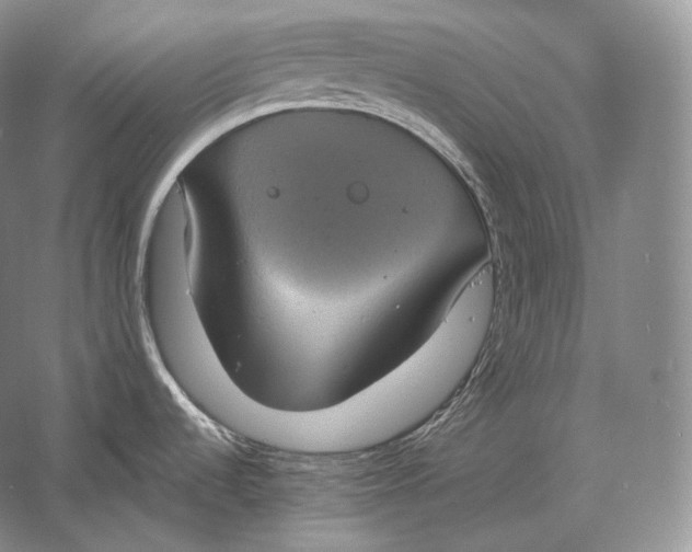 X0000058781536200510171240