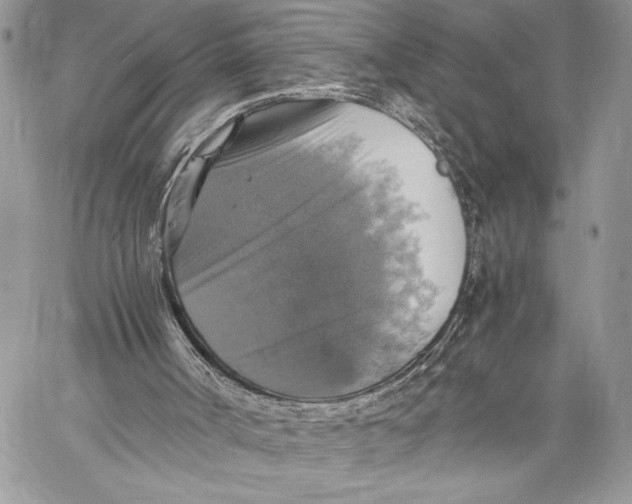 X0000058780002200510211800