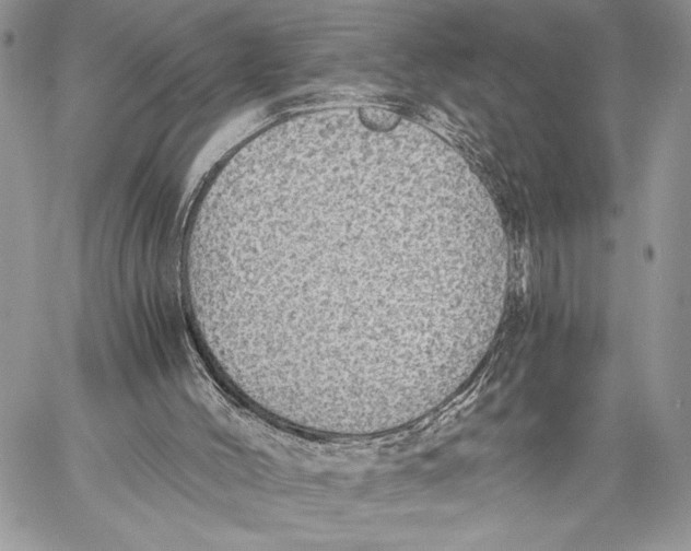 X0000058780004200510211800