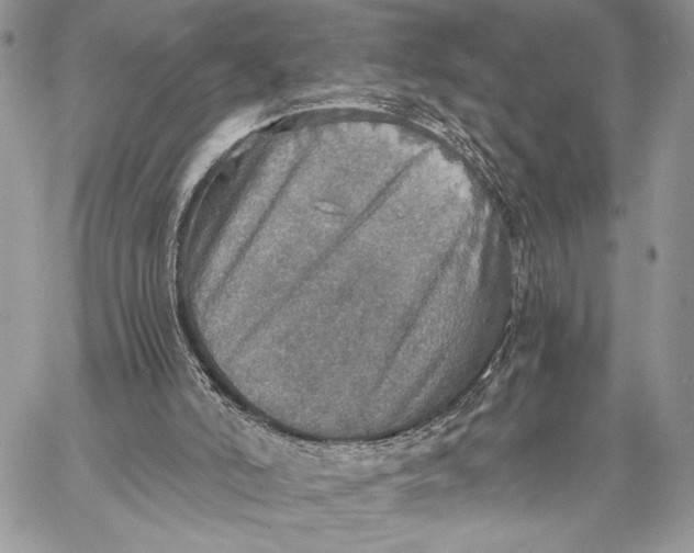 X0000058780006200510211759