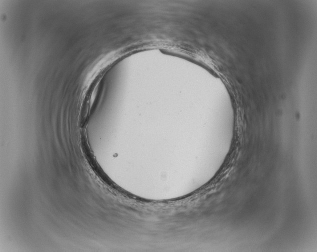 X0000058780007200510211759