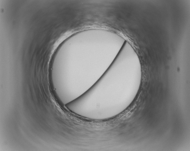 X0000058780008200510211759