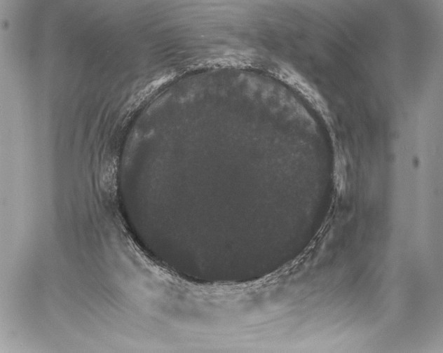 X0000058780009200510211759