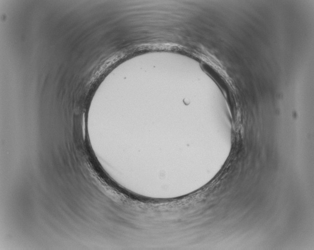 X0000058780013200510211759