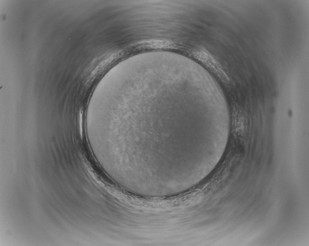 X0000058780014200510211759