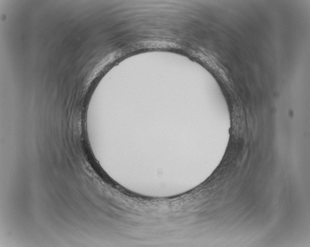 X0000058780015200510211759