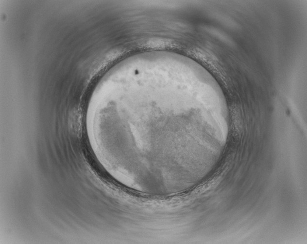 X0000058780016200510211759