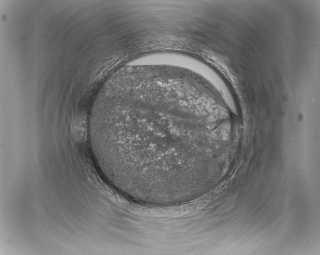 X0000058780017200510211759