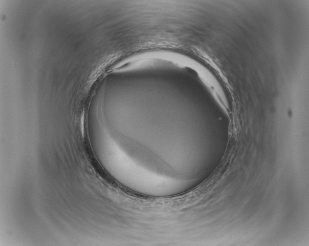 X0000058780019200510211759