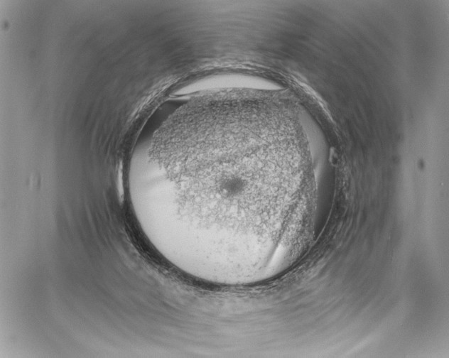 X0000058780020200510211759