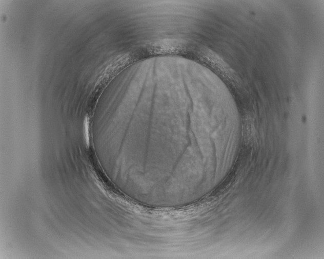 X0000058780022200510211759